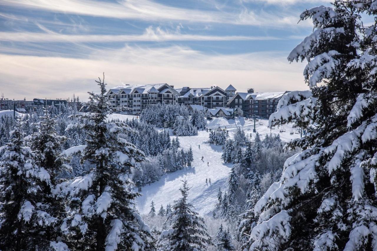 Ski In/Out Snowshoe Bagian luar foto